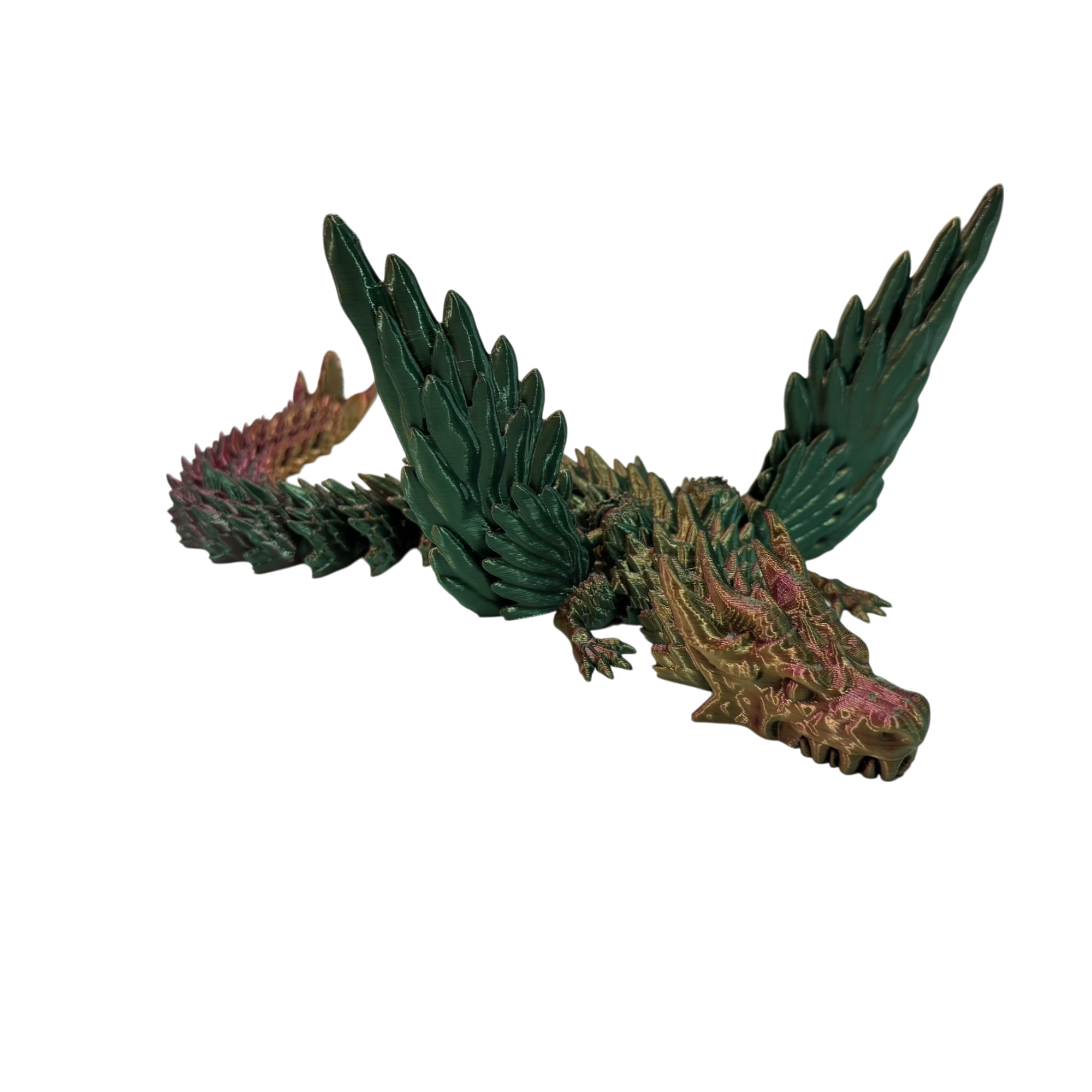 Tri Color Dragon-Photoroom Winged Tri Colour Dragon